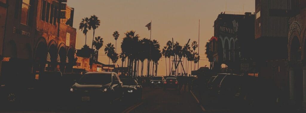 Sunset view of palm trees and cars on a busy road.